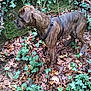 Kalypso participe au concours pour gagner de l'argent avec cette photo :