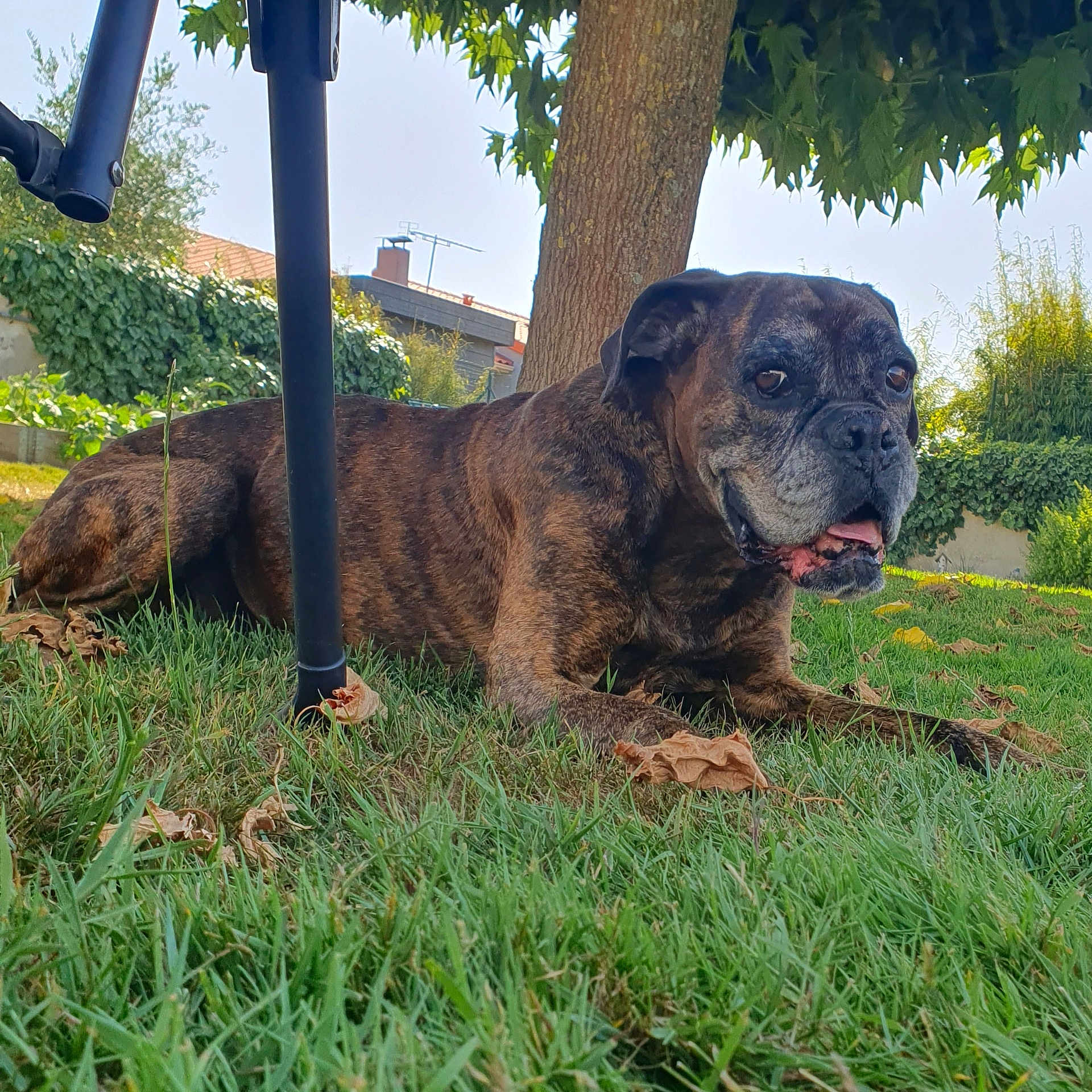 Kalypso