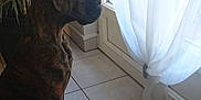 Kalypso participe au concours pour gagner de l'argent avec cette photo :