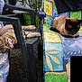 Alf participe au concours pour gagner de l'argent avec cette photo :
