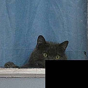 Rififi participe au concours pour gagner de l'argent avec cette photo :