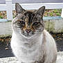 Fifi participe au concours pour gagner de l'argent avec cette photo :