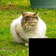 Fifi participe au concours pour gagner de l'argent avec cette photo :