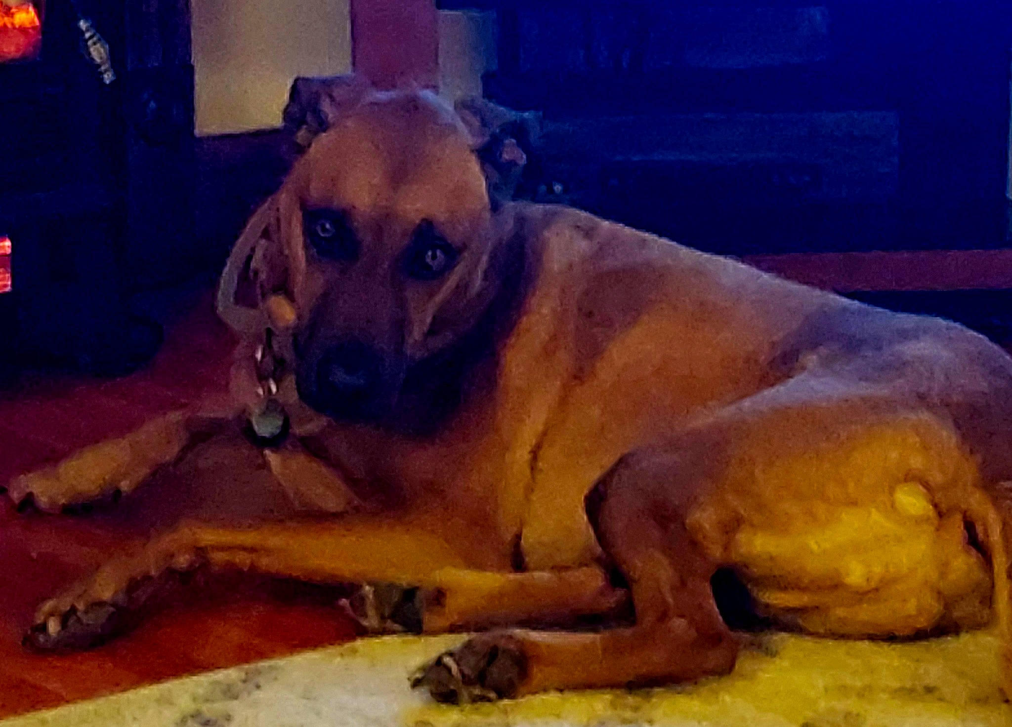 Benjamin Franklin Mckinley