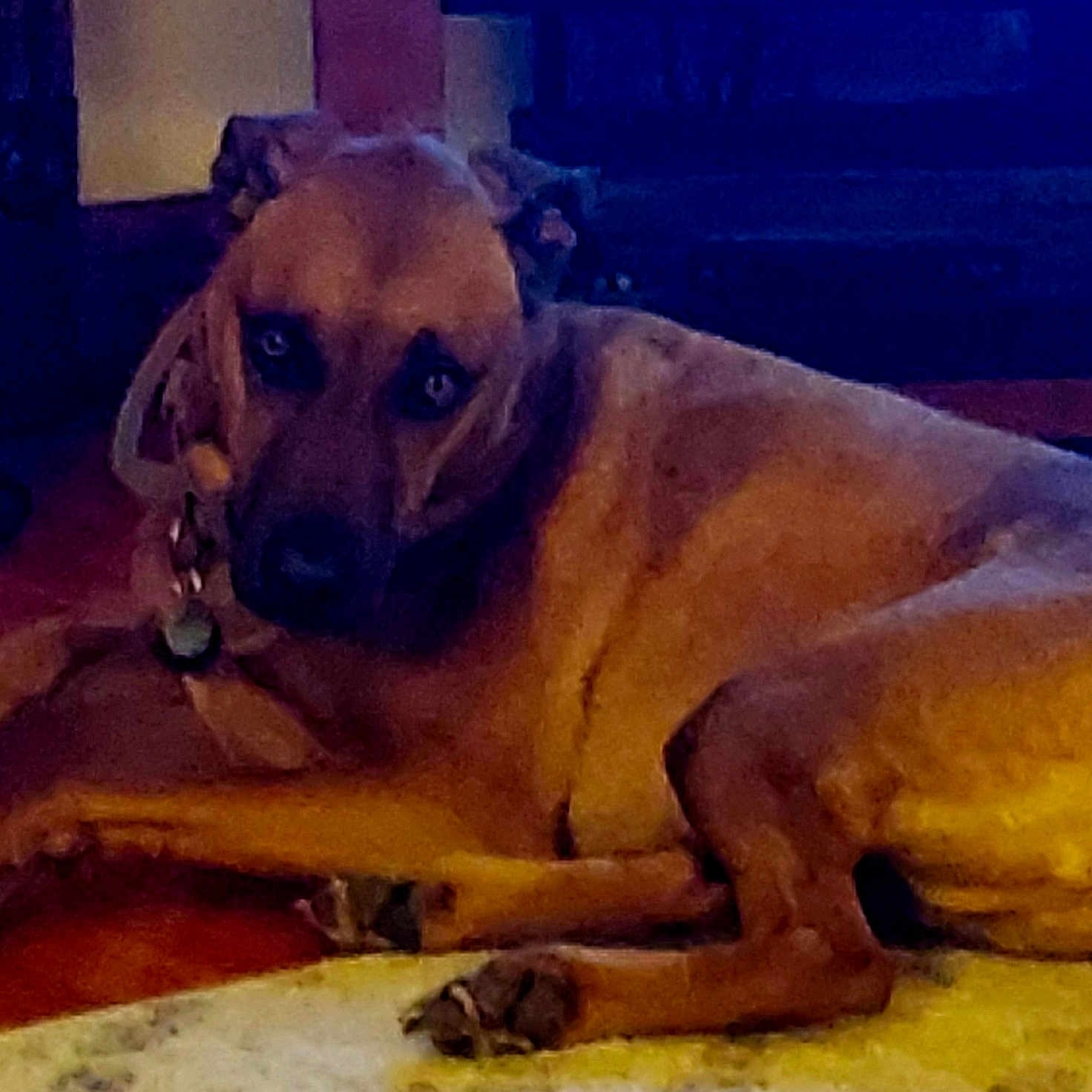 Benjamin Franklin Mckinley