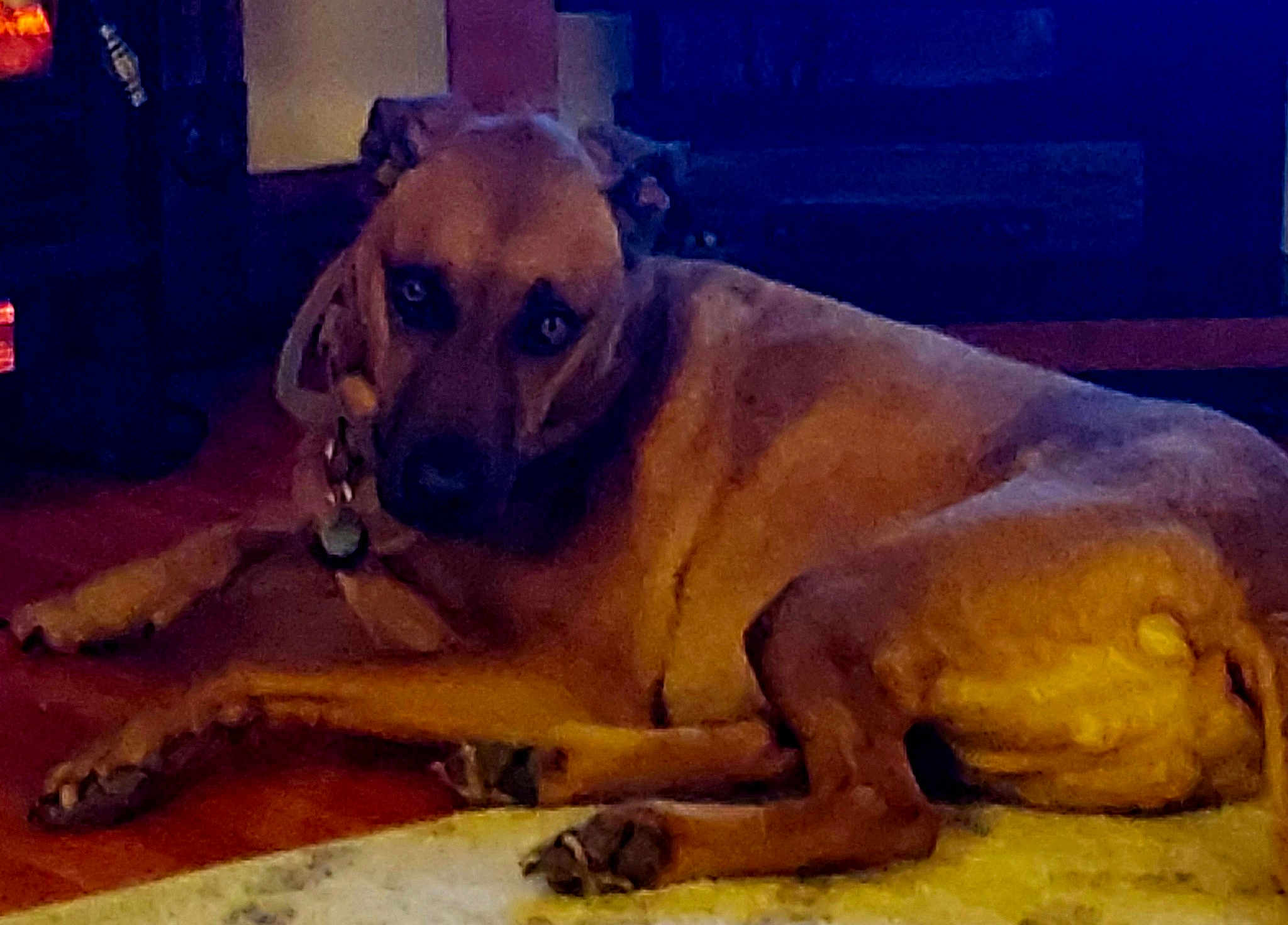 Benjamin Franklin Mckinley