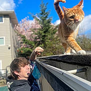Momo is registered to the contest to win money with this photo: cat, one_eyed_cat, orange_cat, person, young_man, hoodie, smiling, outdoor, daylight, blue_sky, clouds, tree, flowering_tree, building, roof, railing, sunlight, shadow, fence, nature