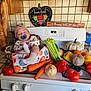 baby, sleeping, pacifier, hat, kitchen, stove, vegetables, carrot, celery, pepper, onion, tomato, pumpkin, autumn, harvest, blanket, sign, decor, food, cozy