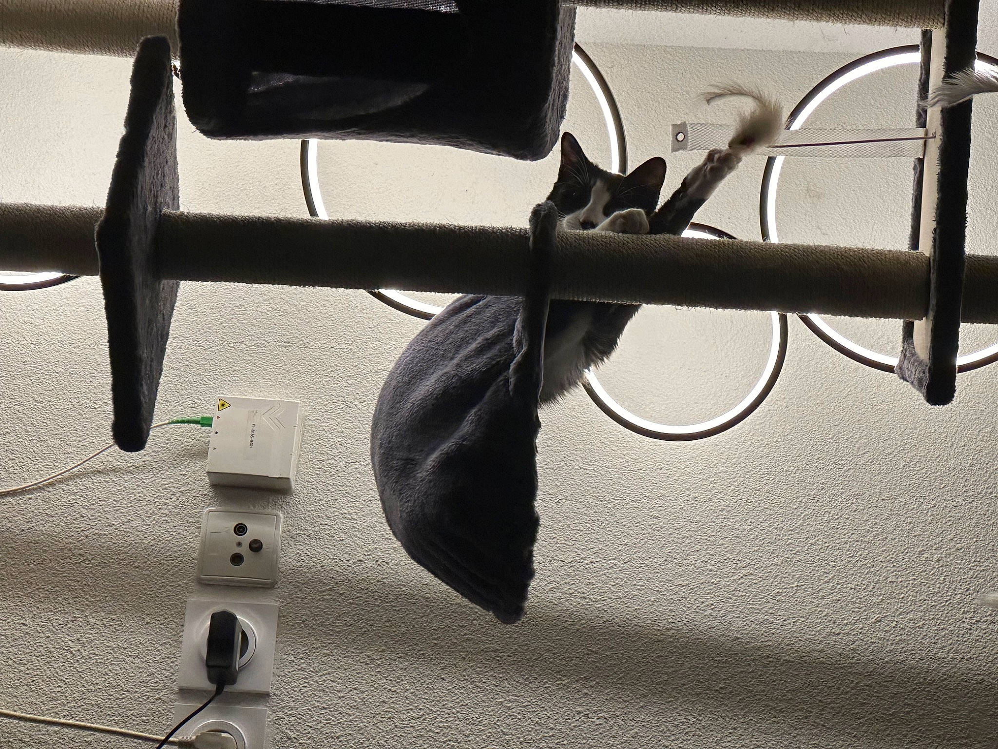 Eïko participe au concours pour gagner de l'argent avec cette photo : cable, ceiling, eyewear, flooring, gas, glass, grey, light_fixture, lighting, metal, monochrome_photography, rectangle, room, shadow, still_life_photography, tints_and_shades, transparent_material, vehicle_door, wire, wood