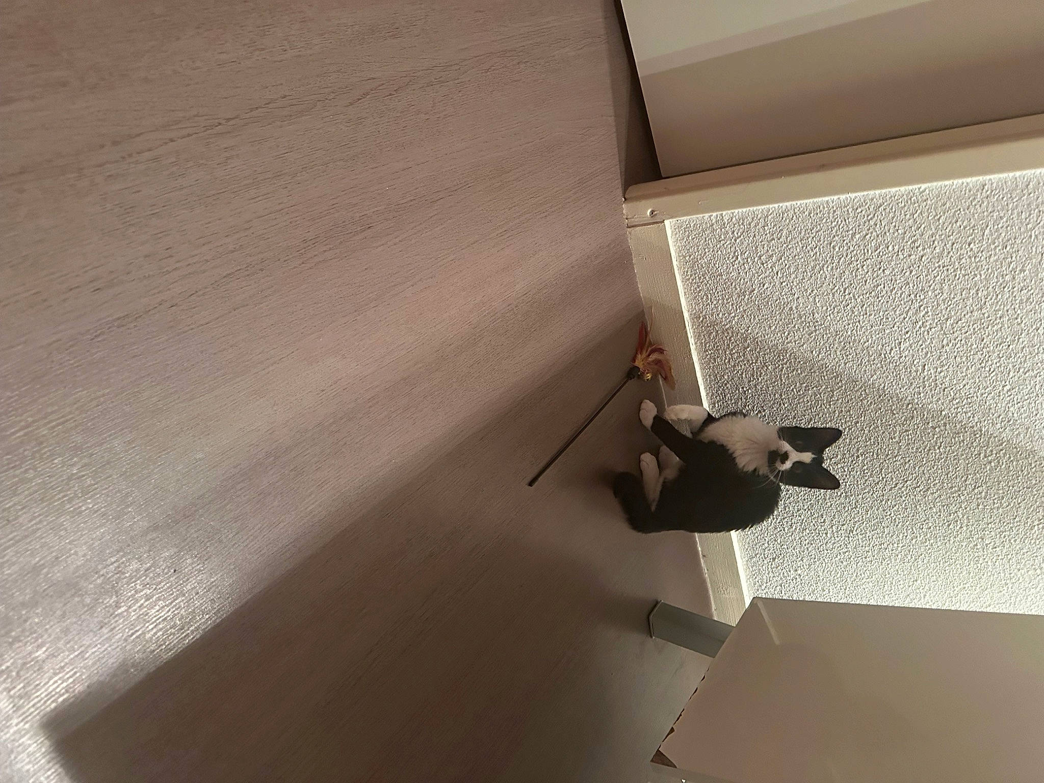 Eïko a rejoint le concours — aidez-le/la à gagner de superbes lots ! brown, ceiling, composite_material, daylighting, door, fixture, floor, flooring, hardwood, metal, plaster, plywood, rectangle, room, shade, shadow, tints_and_shades, window, wood, wood_stain