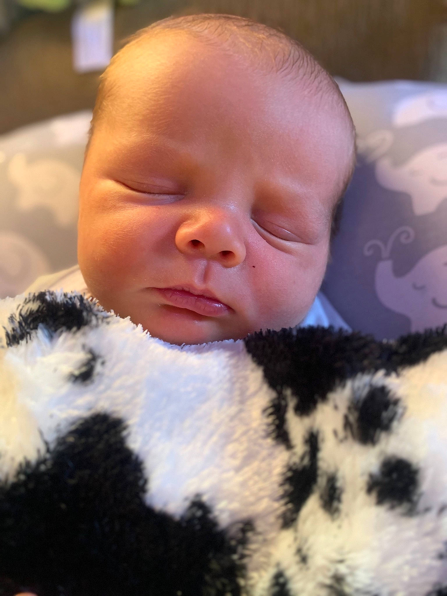 Remy joined the competition — help win amazing prizes! baby, cheek, child, ear, face, head, lip, mouth, nose, person, skin, smile, snout, toddler