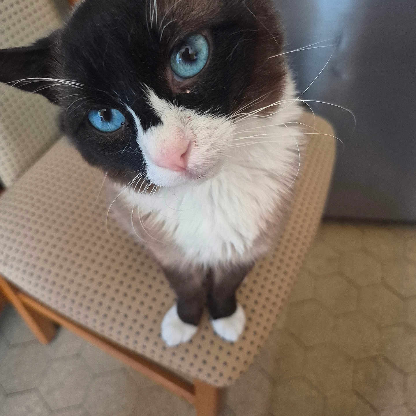 Alaska