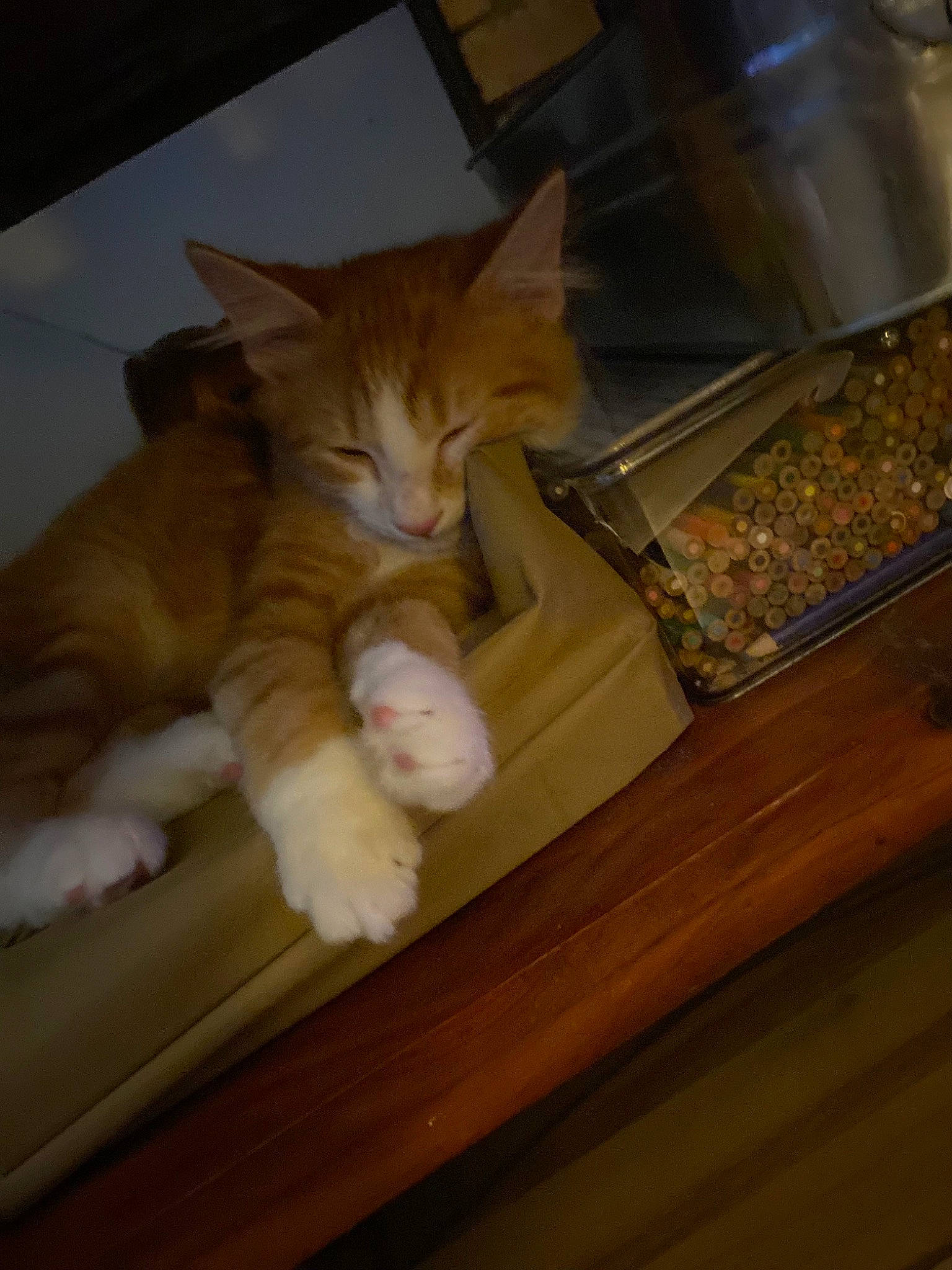 Gravy is registered to the contest to win money with this photo: carnivore, cat, claw, comfort, domestic_short_haired_cat, fawn, felidae, flooring, fur, hardwood, kitchen_appliance, paw, room, small_to_medium_sized_cats, snout, tableware, tail, whiskers, wood, wood_stain