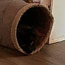 cat, black_cat, cat_bed, indoor, pet, animal, cozy, dark, floor, wood_floor, tunnel, peeking, feline, curious, quiet, home, shadow, eyes, resting, fur