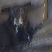 Peach And Black joined the competition — help win amazing prizes! dog, black_dog, blurry, indoor, couch, furniture, pet, animal, sitting, blur, unfocused, dark, shadow, house, room, domestic, fur, canine, indistinct, background