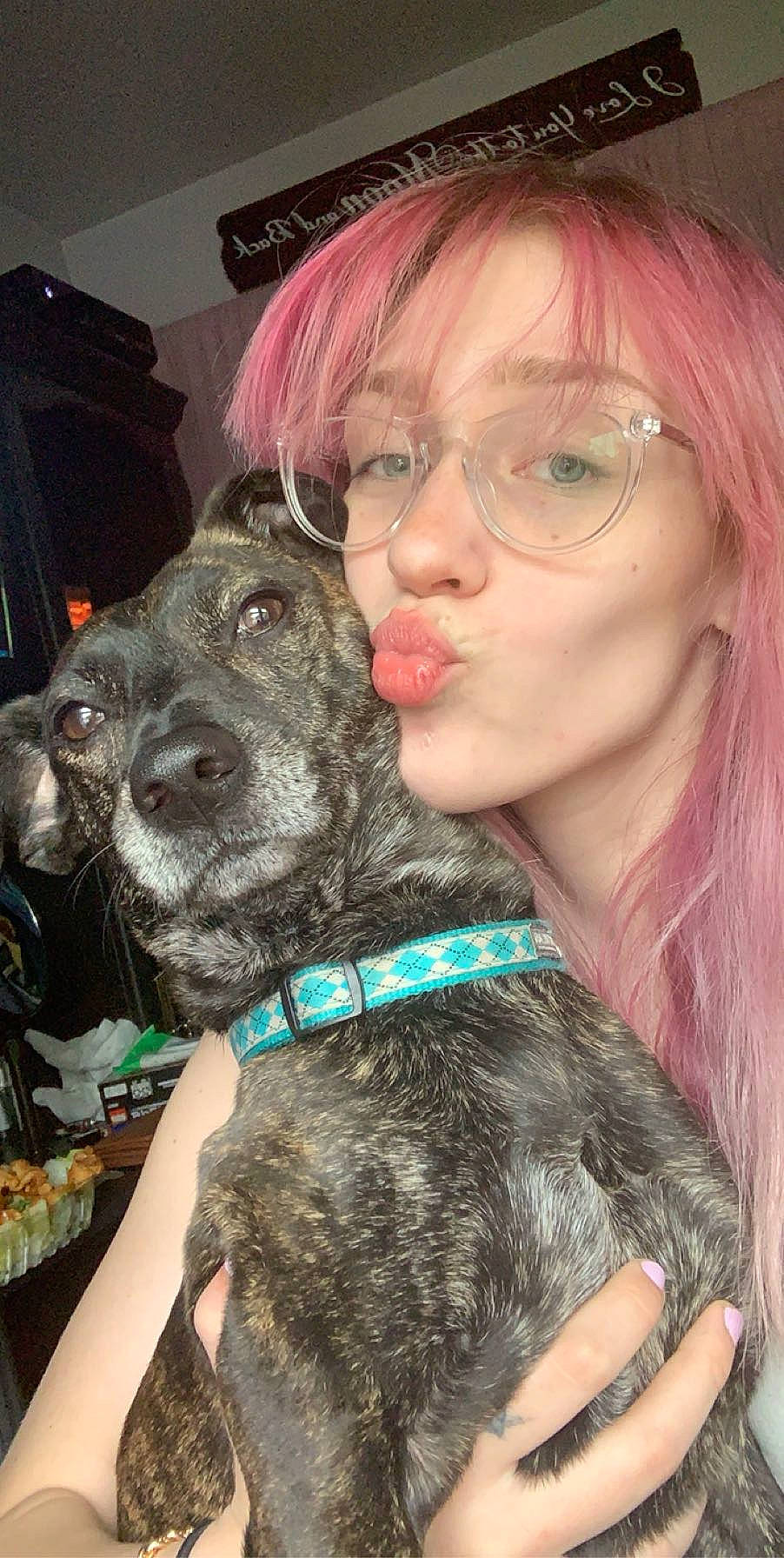 Tucker is registered to the contest to win money with this photo: bangs, carnivore, collar, companion_dog, dog, dog_breed, dog_collar, ear, event, eyelash, eyewear, fawn, fur, glasses, leash, liver, red_hair, snout, spaniel, vision_care