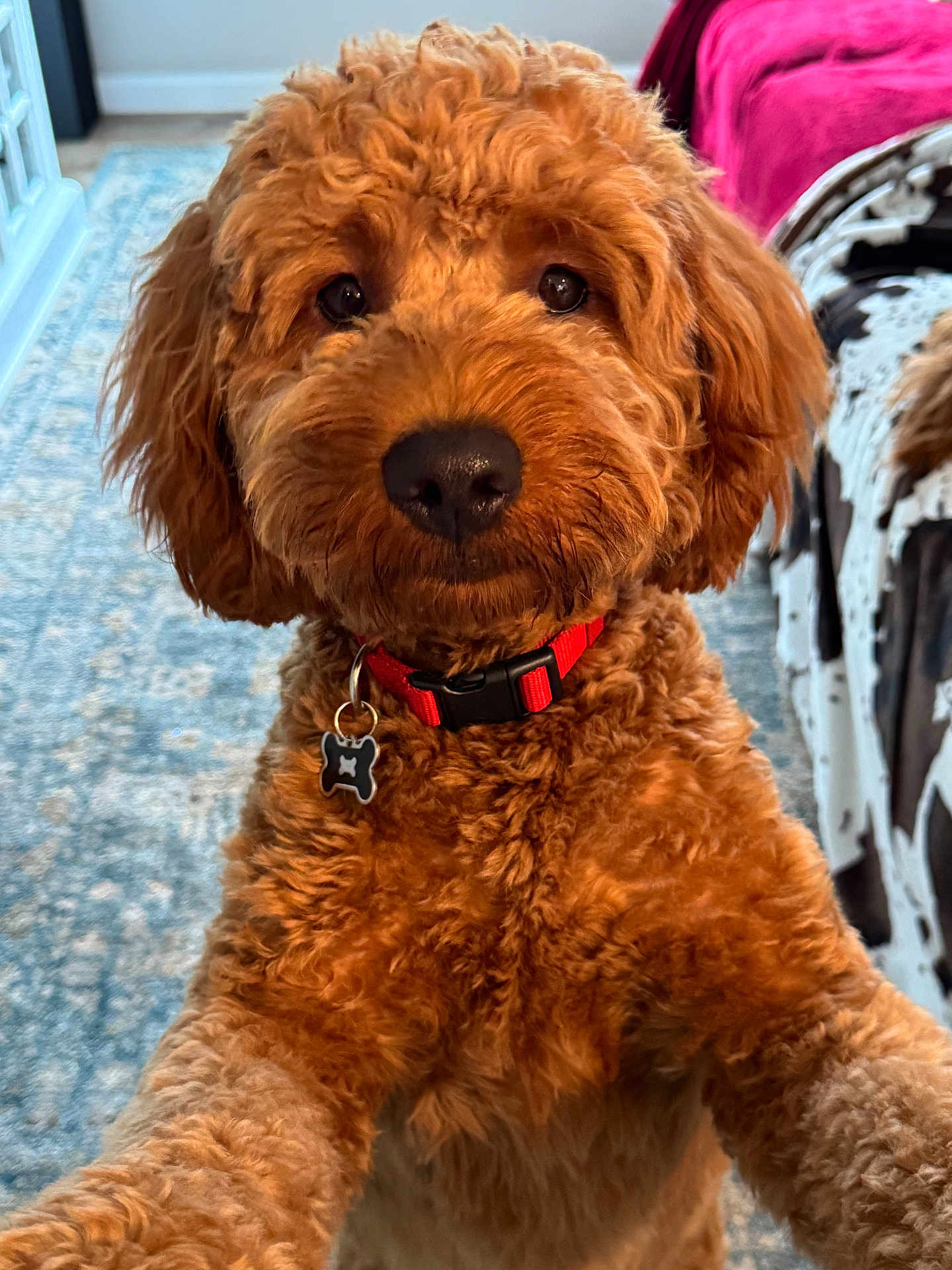 Max