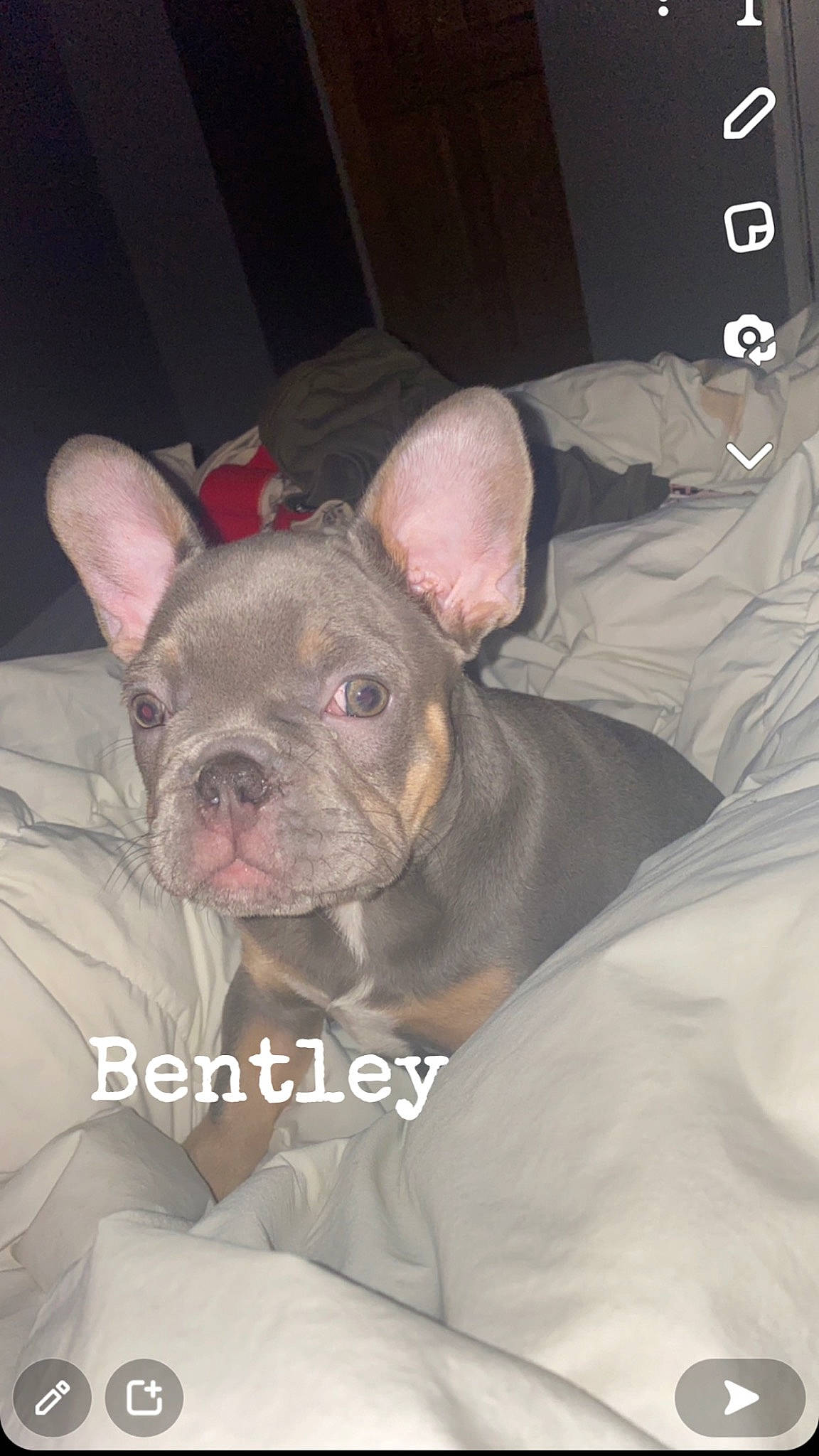 Bentley