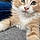 Berlioz