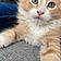 Berlioz