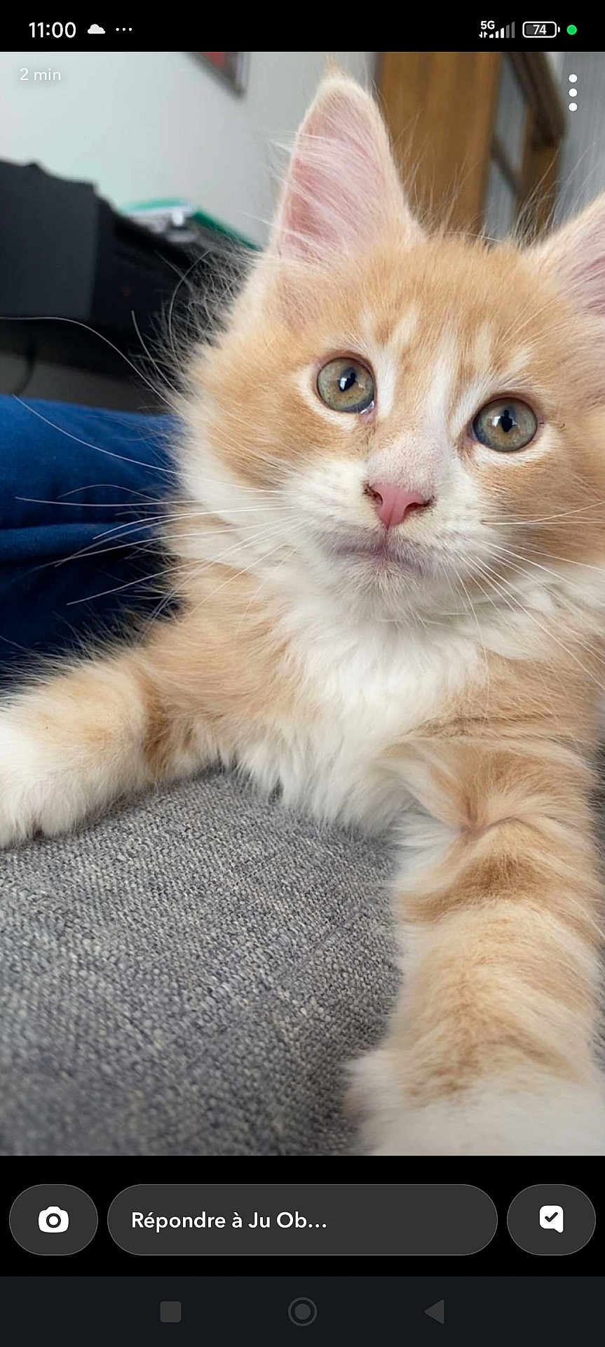 Berlioz