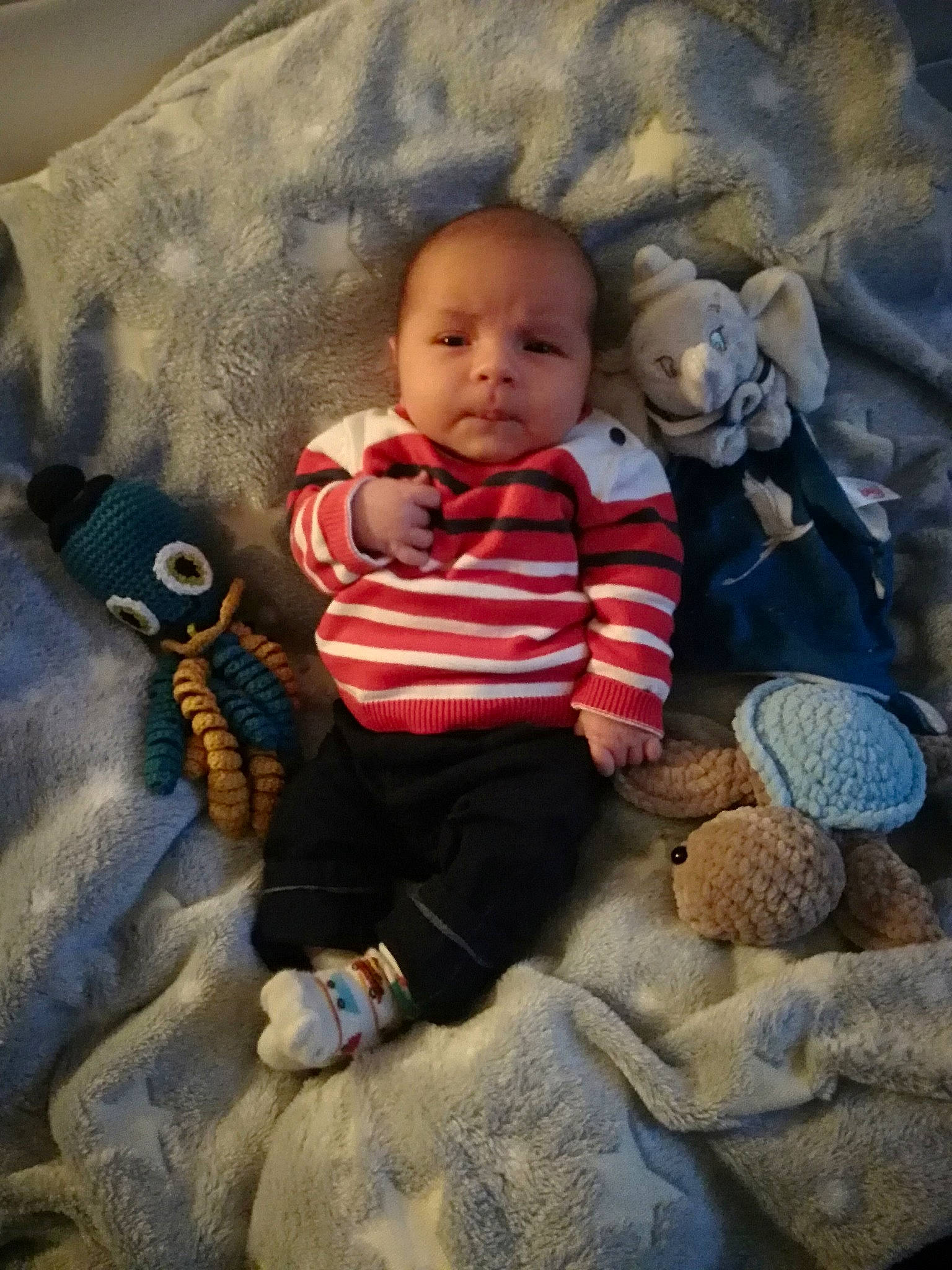 Marius a rejoint le concours — aidez-le/la à gagner de superbes lots ! adaptation, baby, baby_toddler_clothing, child, comfort, happy, human, landscape, leaf, linens, pattern, person, product, rock, sitting, skin, stuffed_toy, textile, toddler, toy