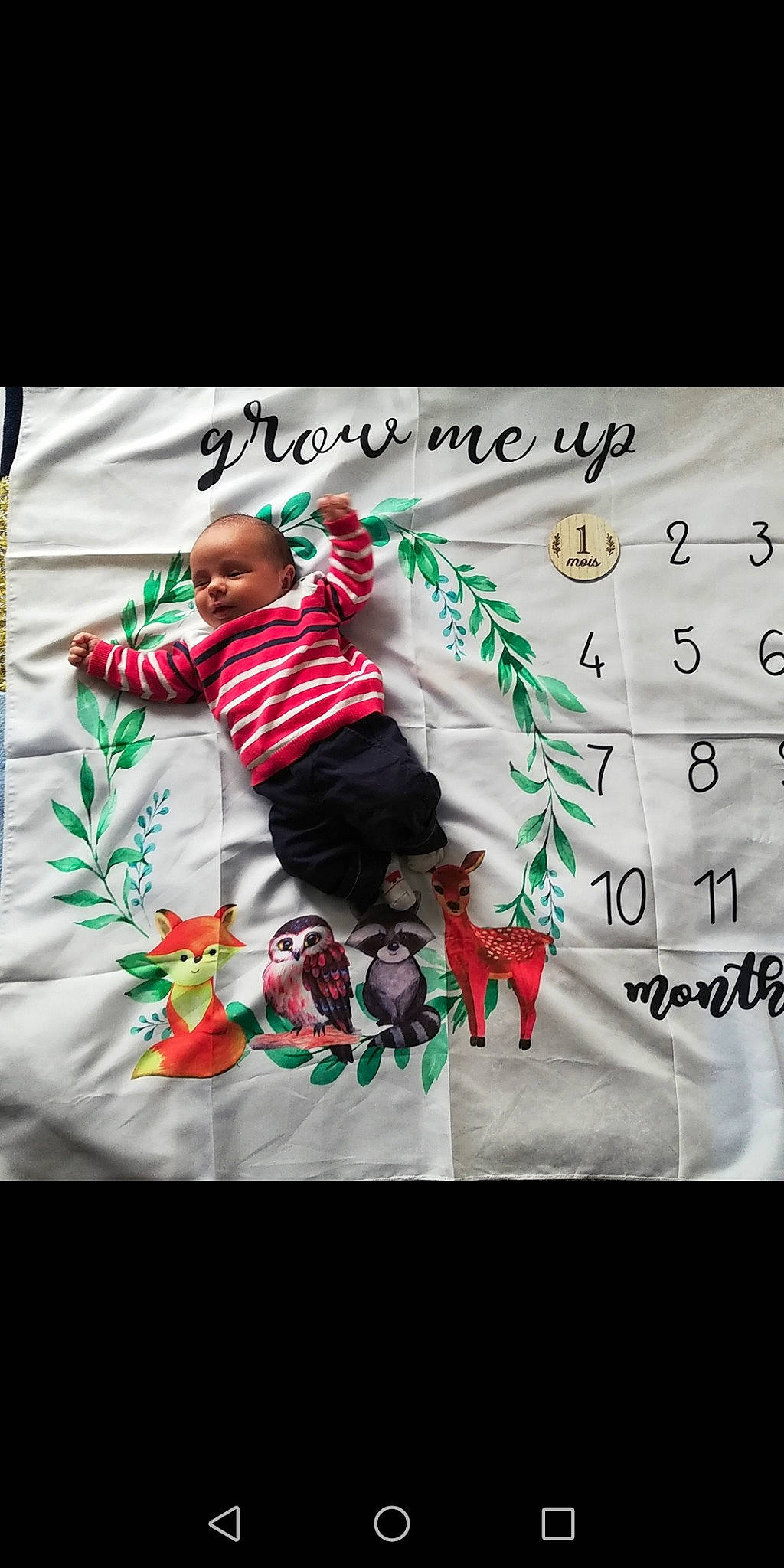 Marius a rejoint le concours — aidez-le/la à gagner de superbes lots ! baby, baby_toddler_clothing, child, christmas, event, fictional_character, font, happy, jersey, linens, logo, magenta, outerwear, pattern, person, room, sleeve, sportswear, t_shirt, toddler