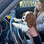 puppy, dog, child, car, steering_wheel, hand, interior, seat, window, sunlight, jacket, cute, pet, young_girl, fence, leash, playful, brown, white, holding
