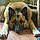 Buster