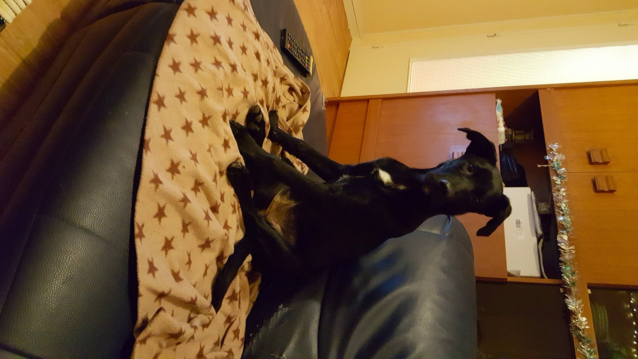 Stella participe au concours pour gagner de l'argent avec cette photo : art, artifact, bronze, bronze_sculpture, comfort, flooring, metal, monument, pattern, personal_protective_equipment, room, sculpture, statue, tourist_attraction, visual_arts, wood