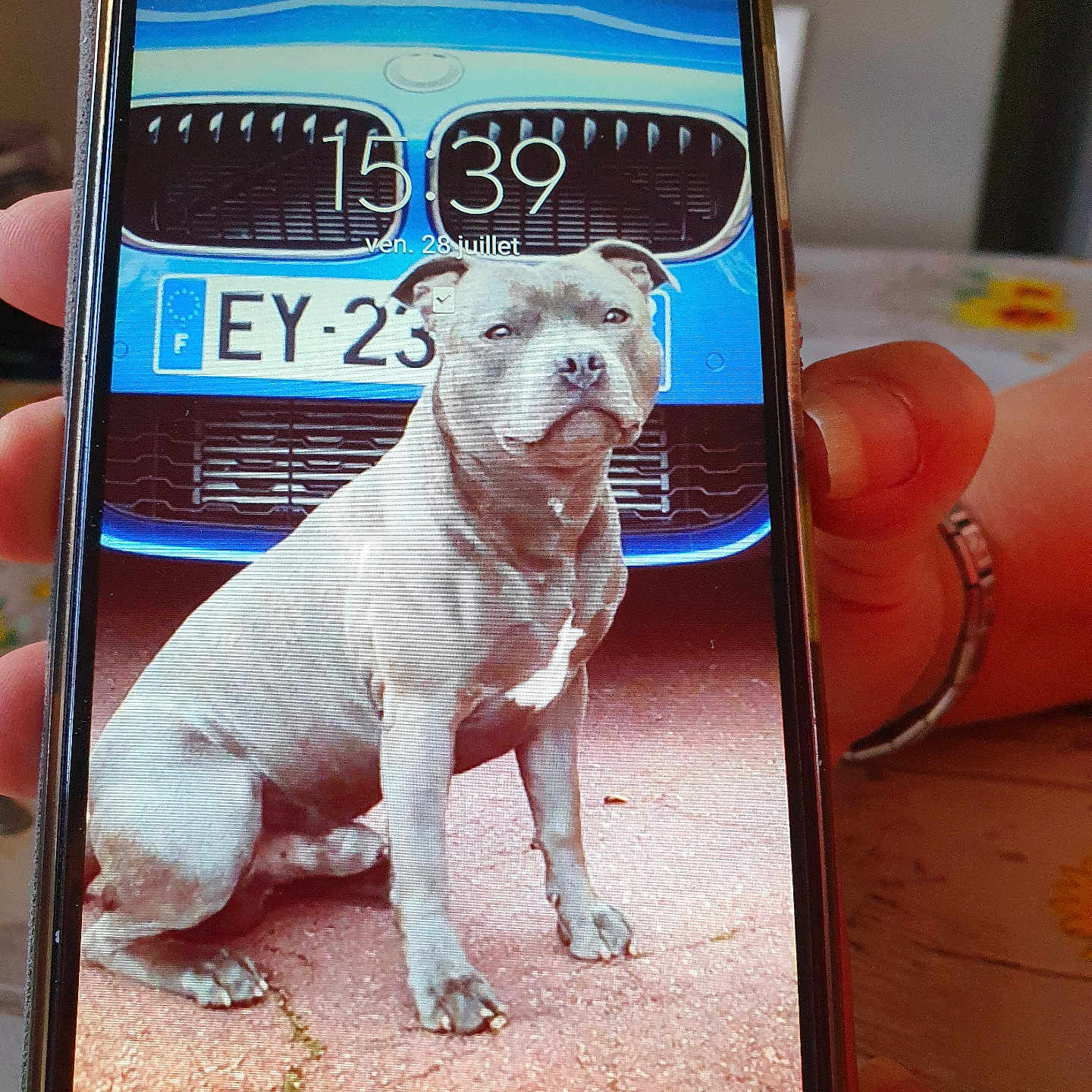 Shows participe au concours pour gagner de l'argent avec cette photo : blue_car, bracelet, car, date_display, dog, finger, floral_pattern, gray_dog, hand, indoor, license_plate, lock_screen, pavement, phone_case, photo, screen, smartphone, table, text_overlay, time_display