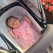 Lacey is registered to the contest to win money with this photo: baby, stroller, pink_dress, sleeping, flower, flora, infant, outdoor, peaceful, cute, child, portrait, resting, canopy, fabric, tulle, floral_pattern, hands, head, skin