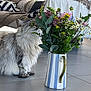 animal, art, cat, couch, flower, flowerarrangement, flowerbouquet, furniture, homedecor, ikebana, indoors, interiordesign, jar, pattern, pet, plant, pottedplant, pottery, table, vase