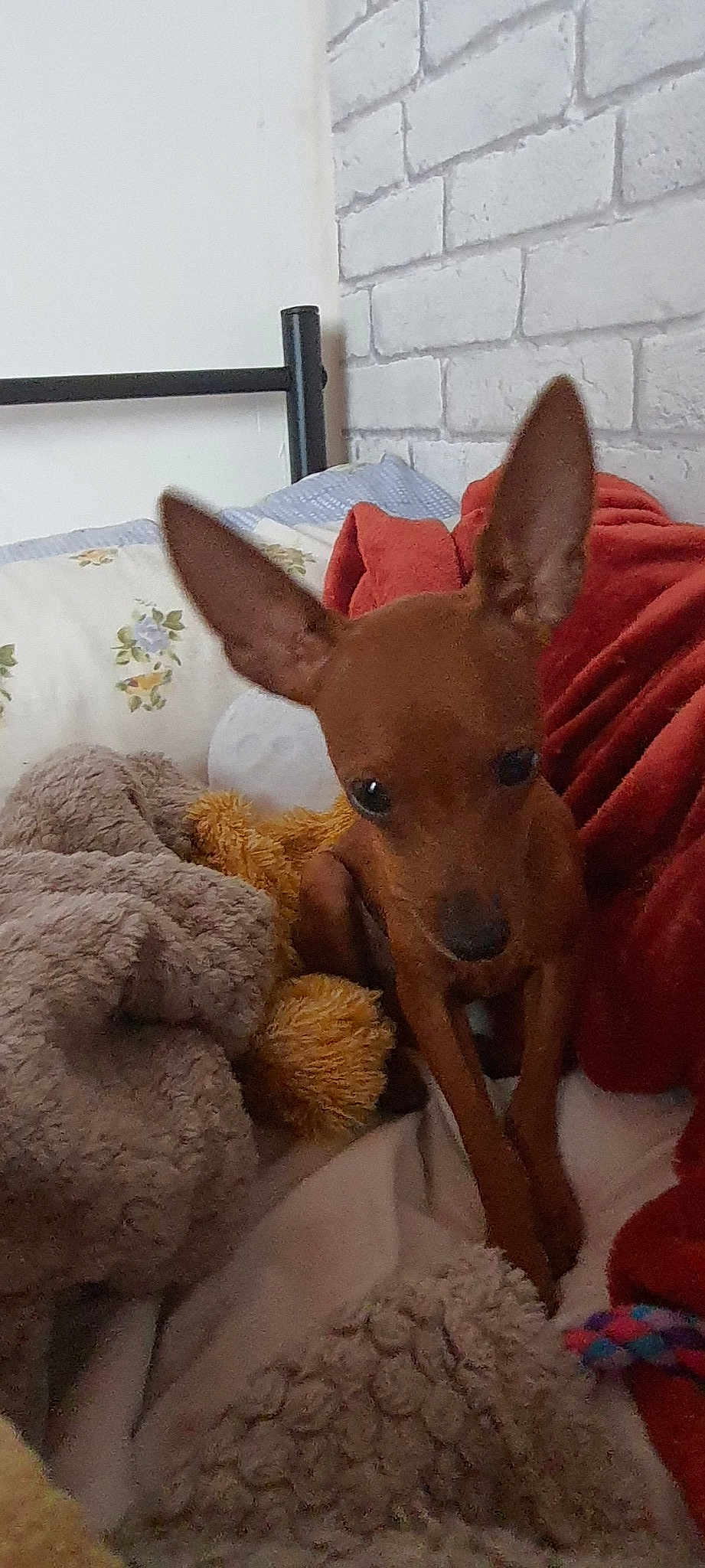 Tao