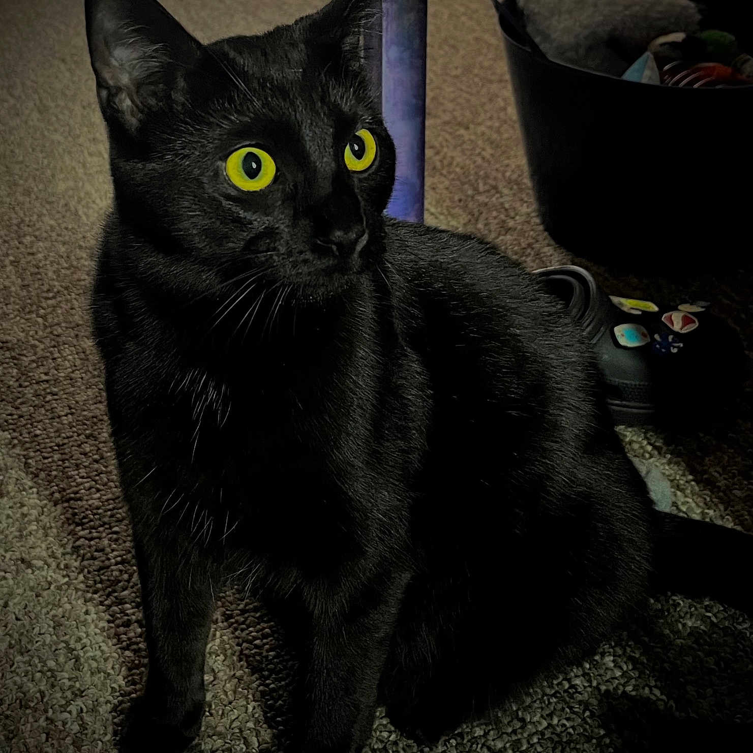 Obsidian