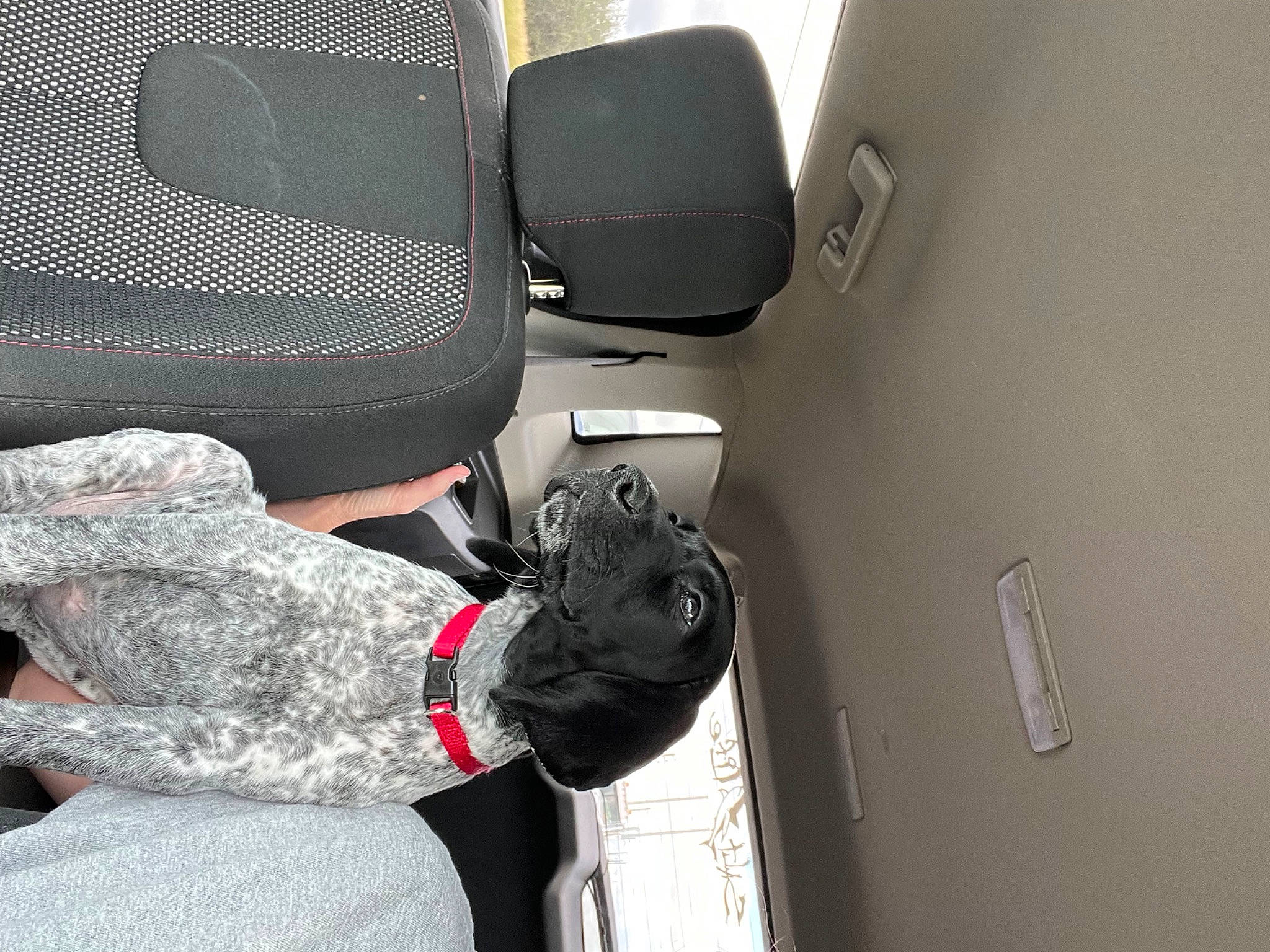 Cooper joined the competition — help win amazing prizes! auto_part, automotive_design, automotive_exterior, automotive_lighting, automotive_mirror, car_seat, comfort, family_car, fashion_accessory, font, gesture, grey, head_restraint, headgear, luxury_vehicle, personal_luxury_car, room, vehicle_door, waist, wrist