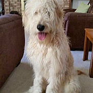 Ranger is registered to the contest to win money with this photo: