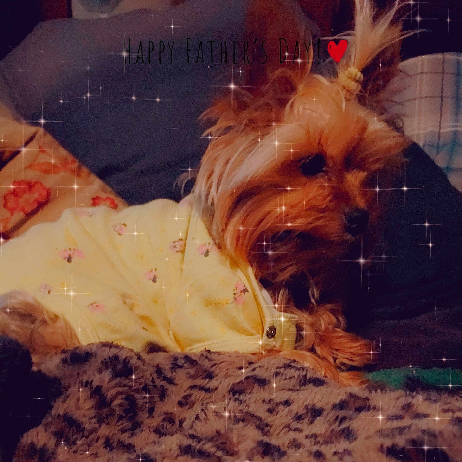 Mazy