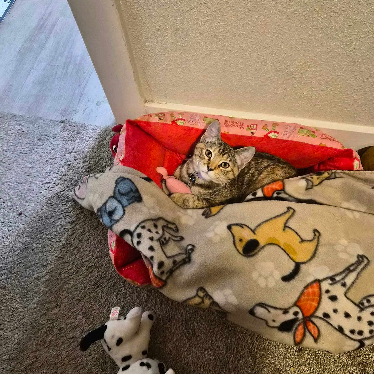 Luna