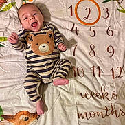 Sonny is registered to the contest to win money with this photo: baby, infant, child, smiling, lying_down, portrait, face, striped_outfit, bear_design, onesie, milestone_blanket, numbers, woodland_theme, deer, rabbit, bird, flowers, leaves, indoor, happy