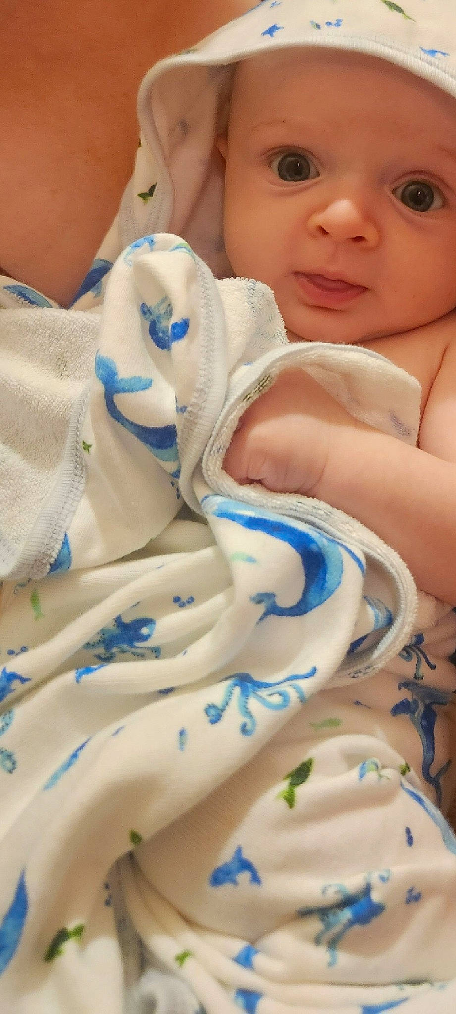 Mika joined the competition — help win amazing prizes! azure, baby, baby_toddler_clothing, blue, cheek, chest, electric_blue, eyelash, finger, gesture, happy, headwear, nail, nose, pattern, person, skin, smile, thumb, toddler