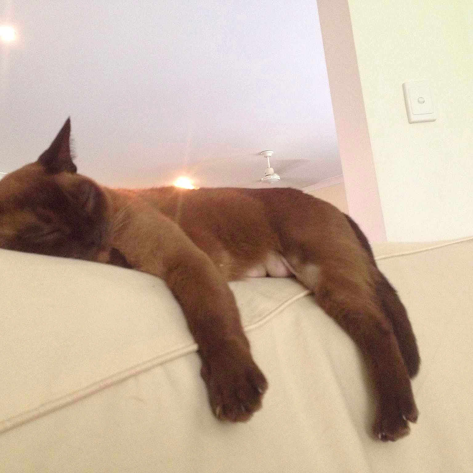 Tolga joined the competition — help win amazing prizes!