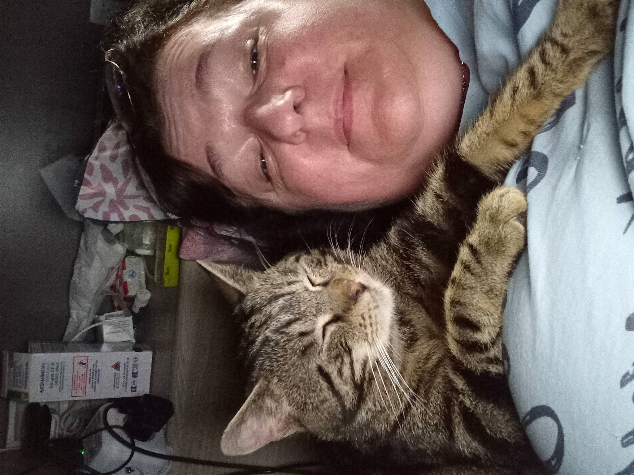 Tigrou a rejoint le concours — aidez-le/la à gagner de superbes lots ! beard, carnivore, cat, claw, comfort, domestic_short_haired_cat, ear, eye, facial_hair, felidae, fur, hair, happy, nap, paw, sitting, sleep, small_to_medium_sized_cats, whiskers, wrinkle