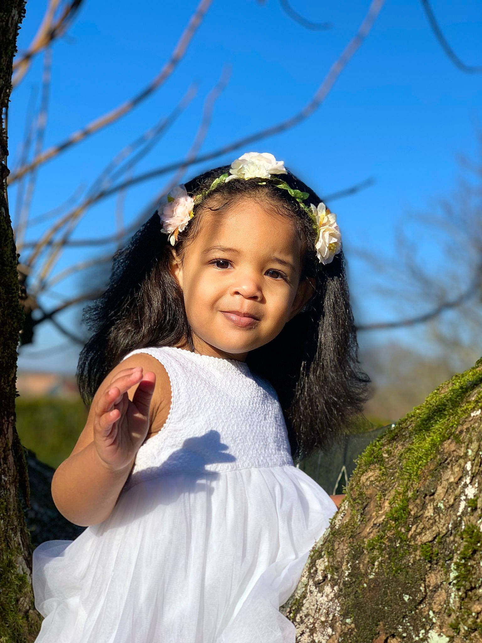 Shaïna participe au concours pour gagner de l'argent avec cette photo : black_hair, branch, face, flash_photography, grass, happy, iris, joy, leisure, lip, long_hair, nature, people_in_nature, person, plant, skin, sky, toddler, tree, trunk