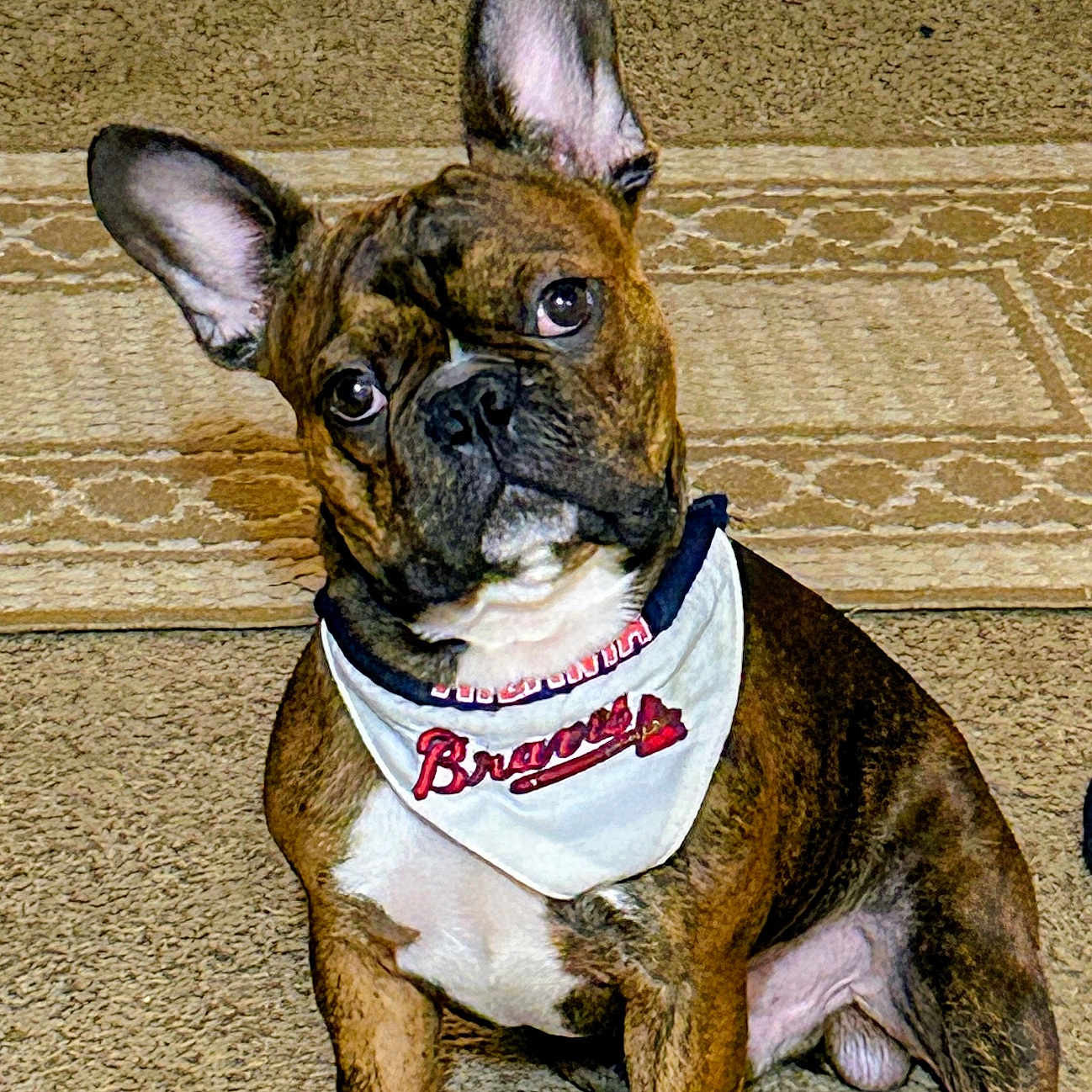 Chipper