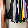 cat, black_cat, closet, clothes, hanging_clothes, shelf, wood, sweater, jacket, knitwear, door_frame, indoor, pet, feline, curious, hidden, peek, yellow_eyes, home, storage