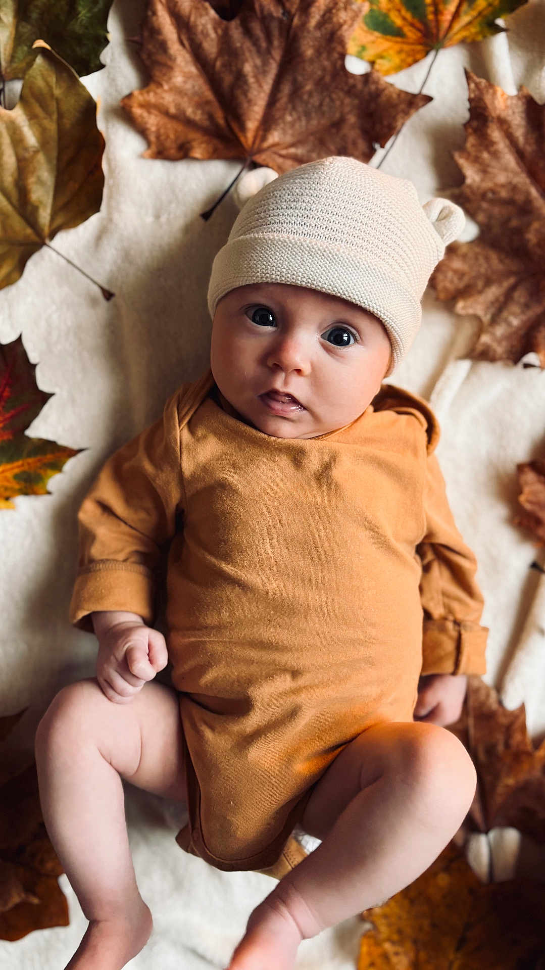 Adèle participe au concours pour gagner de l'argent avec cette photo : baby, infant, child, hat, knit_hat, brown_onesie, autumn_leaves, blanket, soft_texture, cute, wide_eyes, lying_down, indoors, seasonal, fall, cozy, portrait, baby_clothing, skin, expression