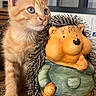 animal, background, cat, close_up, curious, decor, ears, eyes, figurine, furniture, green_sweater, hedgehog, houseplant, indoor, kitten, orange_tabby, pet, table, toy, whiskers