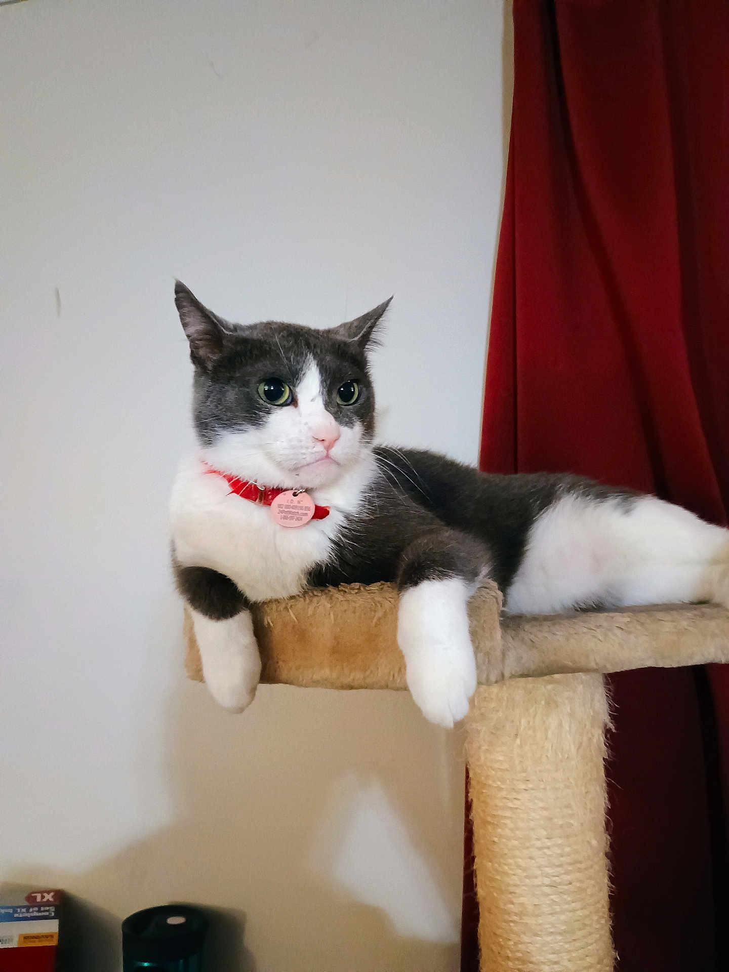 Oscar
