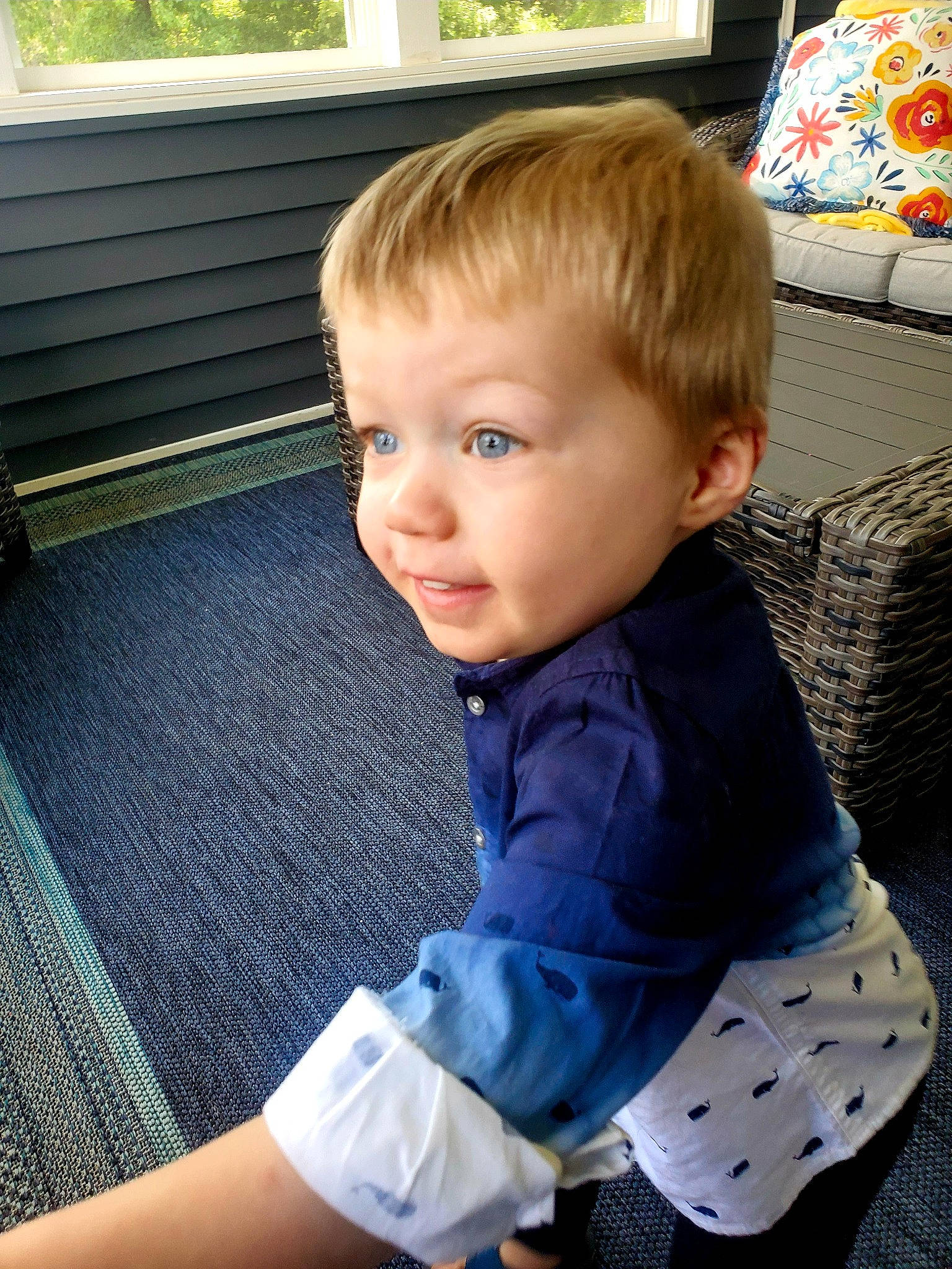 Roman joined the competition — help win amazing prizes! baby, baby_toddler_clothing, blond, bracelet, child, couch, daylighting, ear, fixture, home, lamp, linens, living_room, person, pillow, polka_dot, sock, throw_pillow, toddler, window_blind